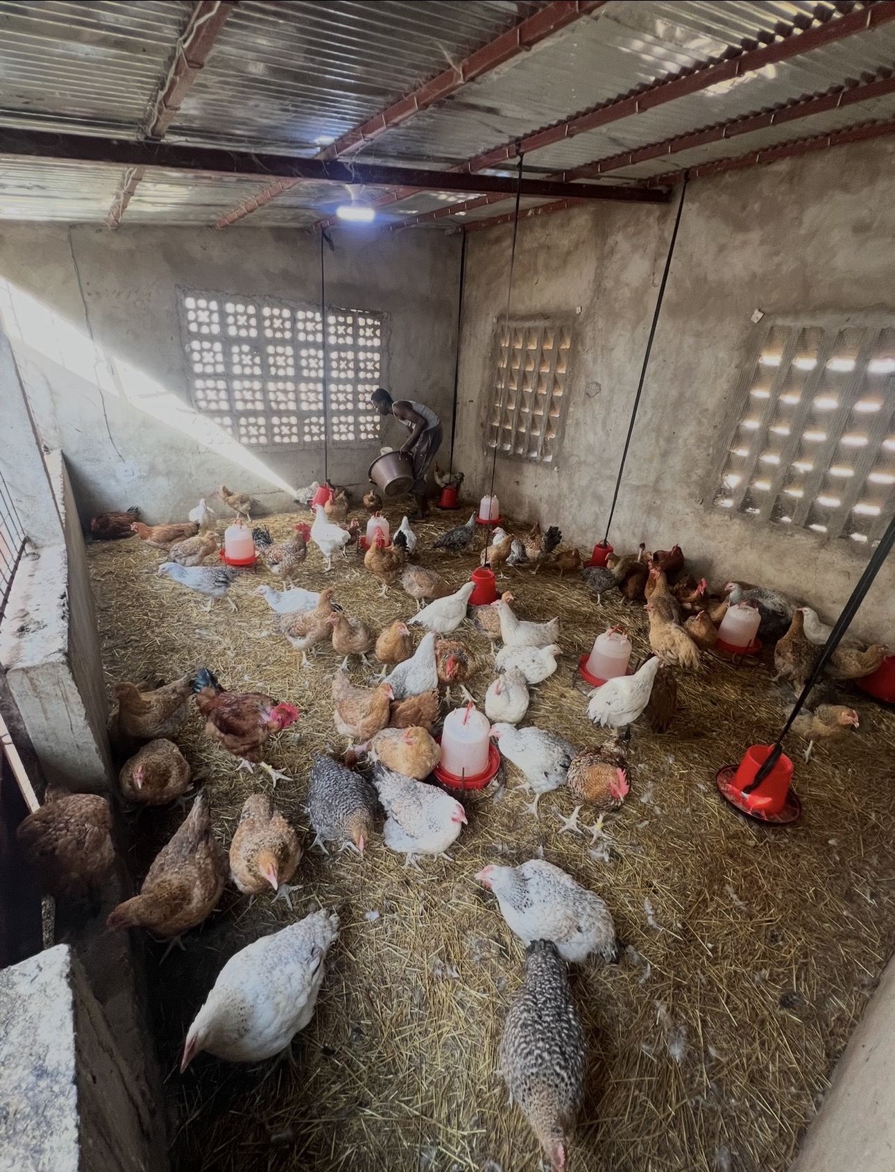 Installations de la Ferme Bassoum