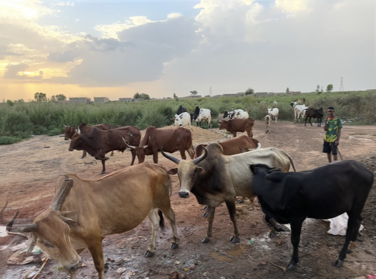 Installations de la Ferme Bassoum