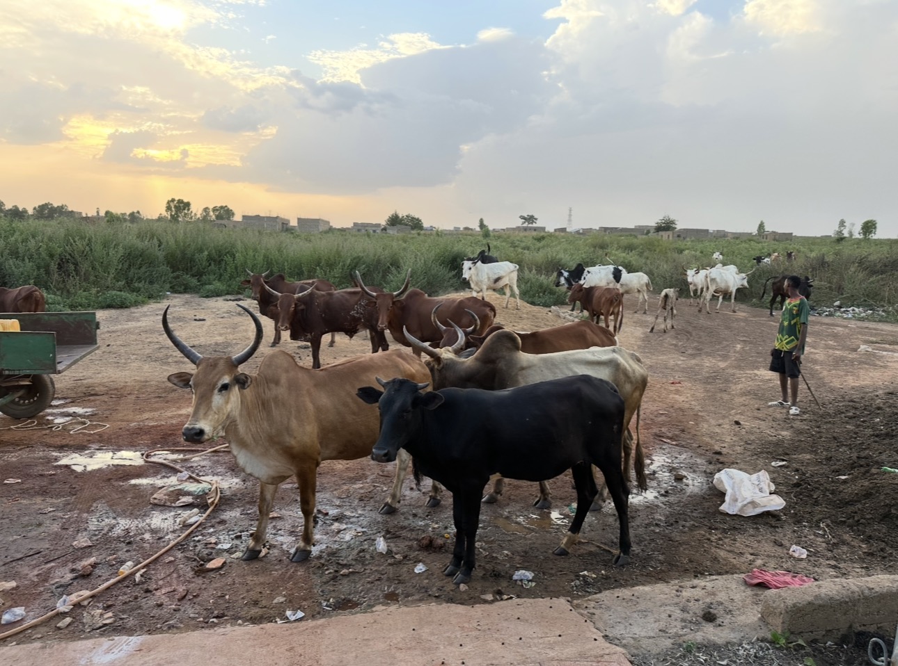 Installations de la Ferme Bassoum