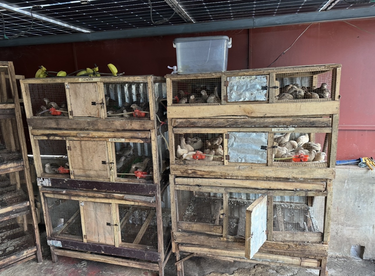 Installations de la Ferme Bassoum