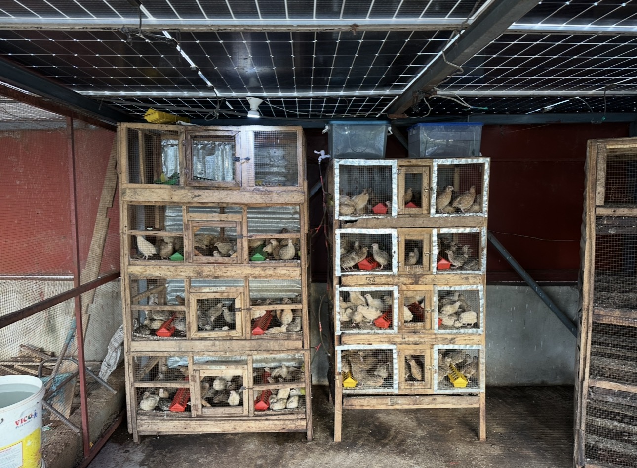 Installations de la Ferme Bassoum